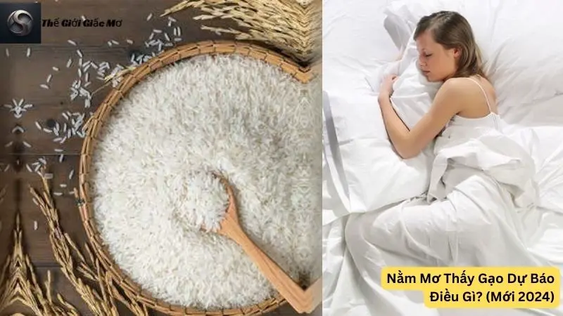 Nằm Mơ Thấy Gạo Dự Báo Điều Gì? (Mới 2024)