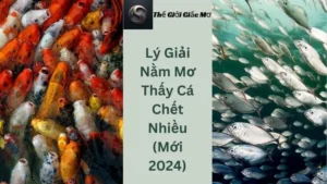 Lý Giải Nằm Mơ Thấy Cá Chết Nhiều (Mới 2024)